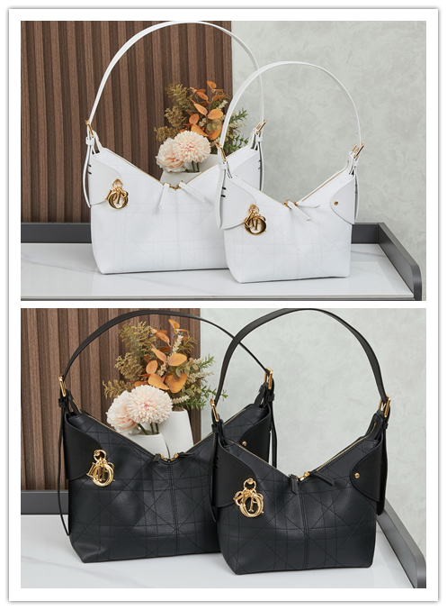 【DIOR（ディオール）2026年早春コレクション新作 Voyage ハンドバッグ】 —— 柔らかなラインと高雅なディテールが織りなす「水餃子型の協調美」——