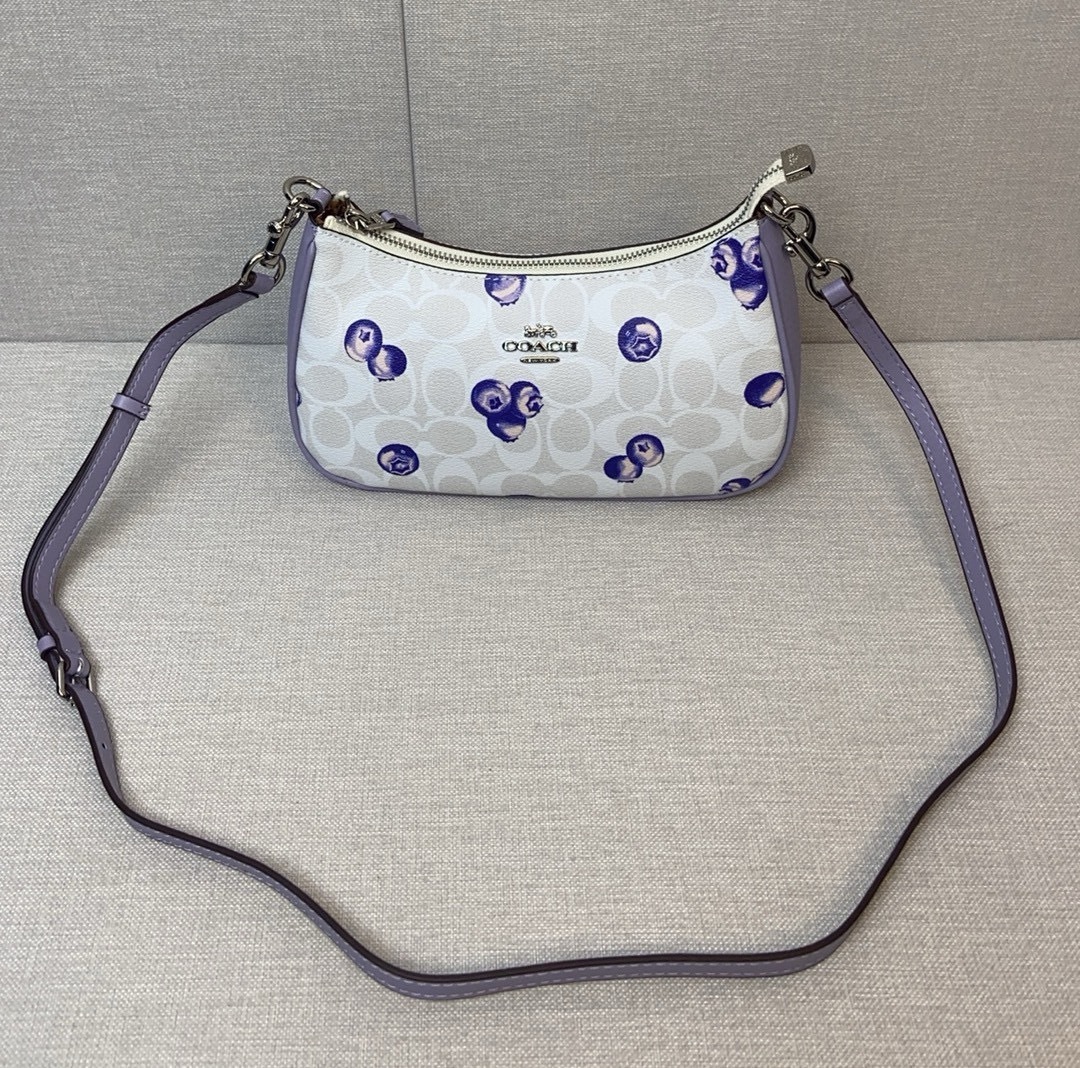 コーチ 5月新作 Andreaシリーズ 脇下掛けバッグ｜シンプル新作型・新配色｜Andrea伝承・低調で使いやすいデザイン